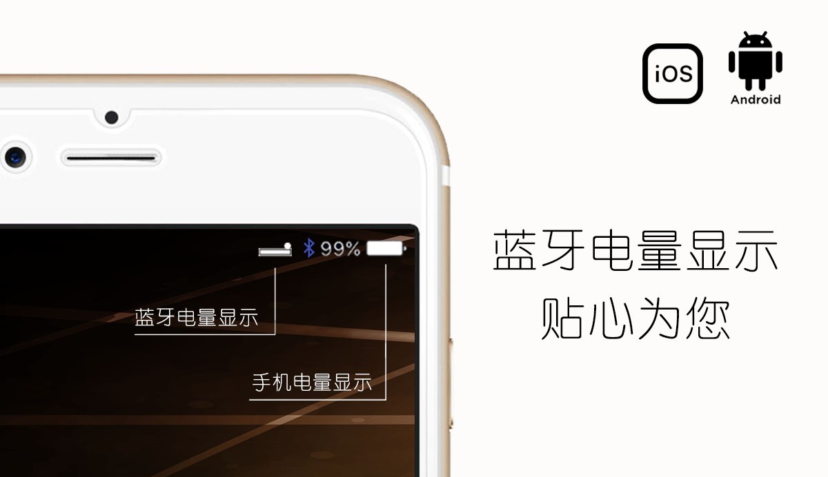 335bt 13cn